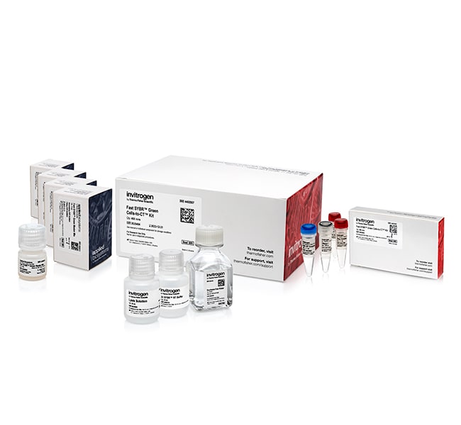 400 RXN FAST SYBR, GREEN CELLS-TO-CT KIT